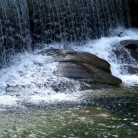 Stream fall - 1
