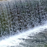 Stream fall - 2