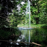 Mainau attraction - 01