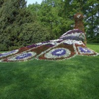 Mainau attraction - 02