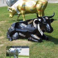 non-Moover
