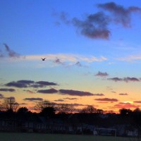 Sunset over the Rec