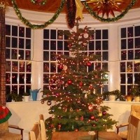 Christmas Tree 1
