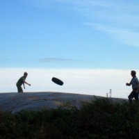 Silage Packing