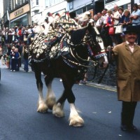 August, 1977 - Penzance Carnival