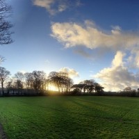 Field at St Clare