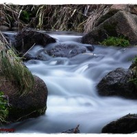 Kenidjack Valley river 1