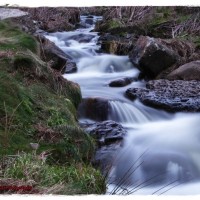 Kenidjack Valley river 2