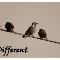 Be Different