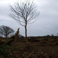 MADRON CARN