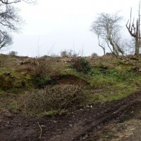 MADRON CARN