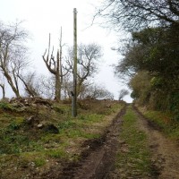 MADRON CARN
