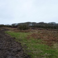 MADRON CARN