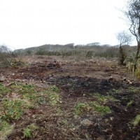 MADRON CARN