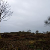 MADRON CARN