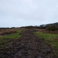 MADRON CARN