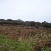 MADRON CARN