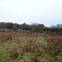 MADRON CARN