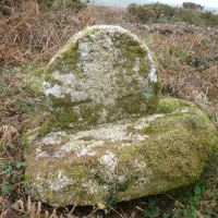MADRON CARN