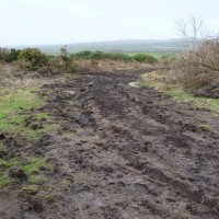 MADRON CARN