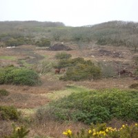 MADRON CARN