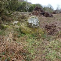 MADRON CARN