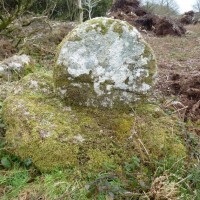 MADRON CARN