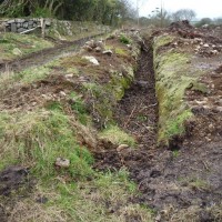 MADRON CARN