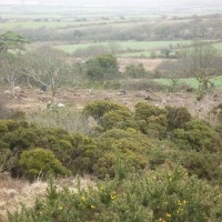MADRON CARN