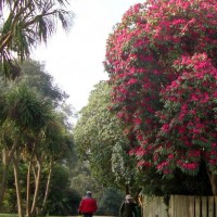 Penlee Park, March 2011