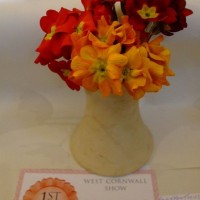 PENZANCE SPRING SHOW - 12MAR2011