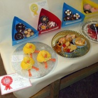 PENZANCE SPRING SHOW - 11-12th MARCH, 2011