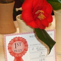 PENZANCE SPRING SHOW - 11-12th MARCH, 2011