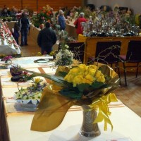 PENZANCE SPRING SHOW - 11-12th MARCH, 2011