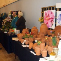 PENZANCE SPRING SHOW - 11-12th March, 2011