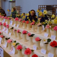 PENZANCE SPRING SHOW - 11-12th March, 2011