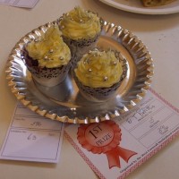 PENZANCE SPRING SHOW - 11-12th March, 2011