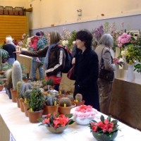 PENZANCE SPRING SHOW - 11-12th March, 2011