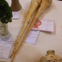 SPRING SHOW, PENZANCE - 11-12th March, 2011