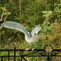taking off