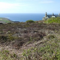 Watchcroft   Area - 12th April, 2011