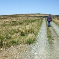 Watchcroft   Area - 12th April, 2011