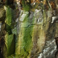 The Rock That Blunted the Scissors [The paper's out at sea!]