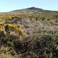 Carn Galver from the road - 12th April, 2011