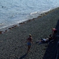 Promenade Beach and swimmers