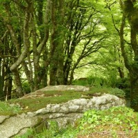 Trevelloe House and Carn - 2nd May, 2011