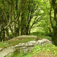 Trevelloe House and Carn - 2nd May, 2011