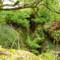 Trevelloe House and Carn - 2nd May, 2011