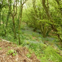 Trevelloe House and Carn - 2nd May, 2011