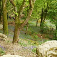 Trevelloe House and Carn - 2nd May, 2011